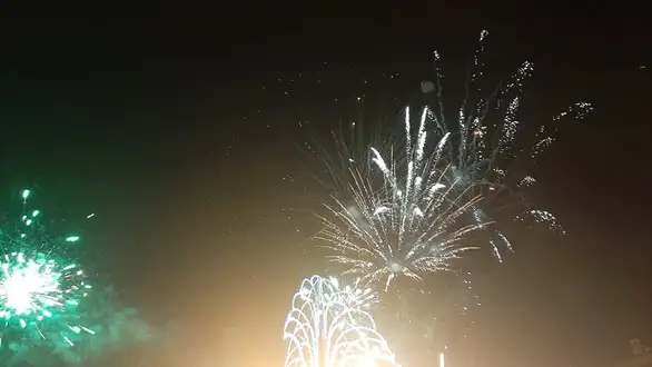 Pokrenuta online peticija za otkazivanje nastupa Jelene Karleuše u Boru