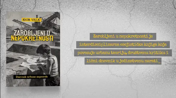 Zarobljeni u nepokretnosti: Knjiga o kriku sa borskih ulica