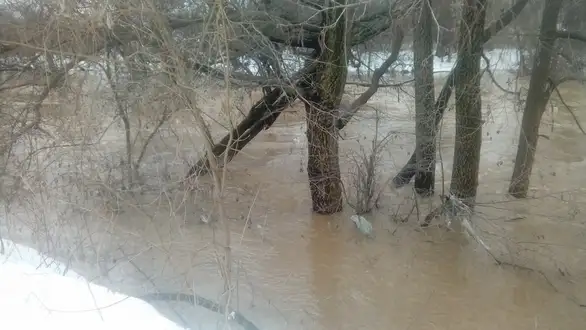 Timok se izlio u Velikom Izvoru: Trenutno stanje u Donjem Zuniču, Vratarnici, Velikom Izvoru