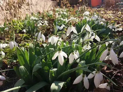 U Srbiji danas toplije vreme posle hladnog jutra