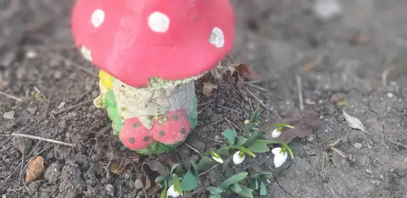 FOTO: Procvetale visibabe u zaječarskim baštama