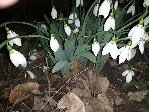 Još danas sunčano i toplo, uz jak vetar – od ponedeljka promena vremena