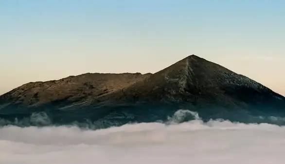 Greenstock – za zeleni Istok: Zaječarska inicijativa okuplja i podržava ekološke pokrete iz regiona