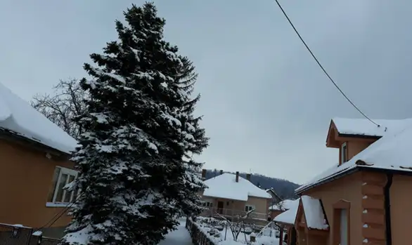 Danas hladno, sa povremenim snegom