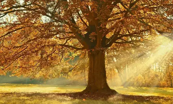 Danas pretežno sunčano vreme