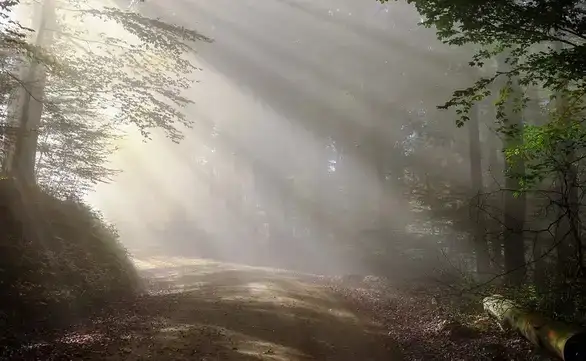 U Zaječaru danas sunčano sa temperaturom do 7c