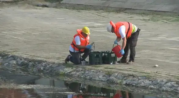Rezultati prvog ciklusa uzorkovanja i analize površinskih voda u okviru projekta „Ekološki odgovor na ekspanziju rudarenja u Timočkoj krajini“