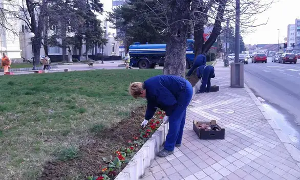 Ocvetnjavanje iz budžeta "obrstilo" više od 3 miliona dinara!