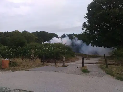 Pčelari, zaštite pčele: Danas i sutra sprovodi se zaprašivanje komaraca i krpelja!