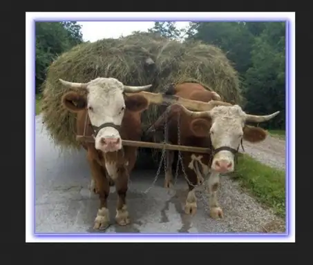 Nekada se radilo napornije, ali sada se radi više