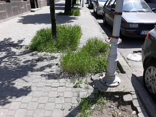 Niče Potemkinovo selo: Stiže Neša iz Beograda!