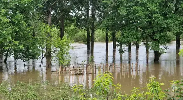 MUP upozorio na rizik od poplava zbog najavljene kiše